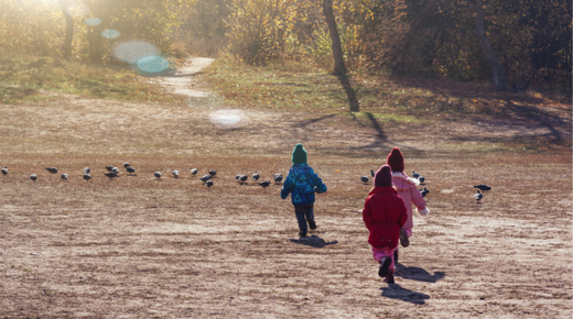 Three children run outside towards the woods. There are birds on the floor and the sun is shining.